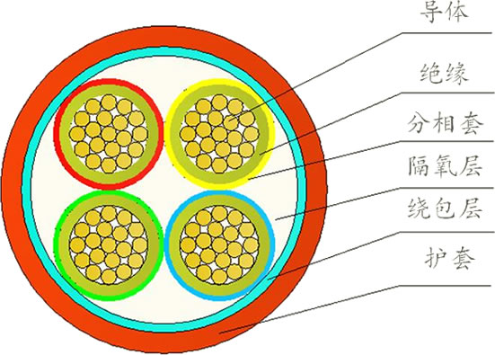 15173893381012.jpg 2.jpg