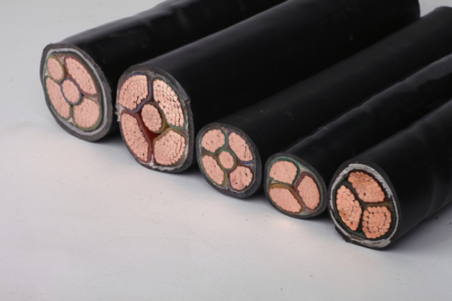 15203385135975.jpg 电力完美·体育.jpg