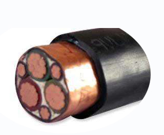 变频器专用电力完美·体育